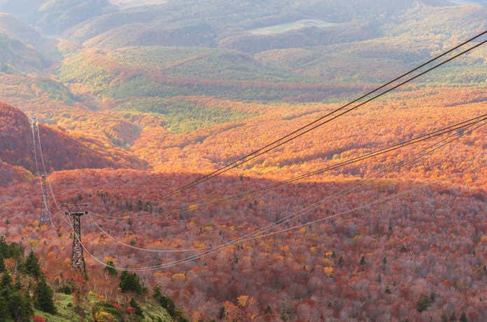 八甲田山ロープウェイで紅葉登山