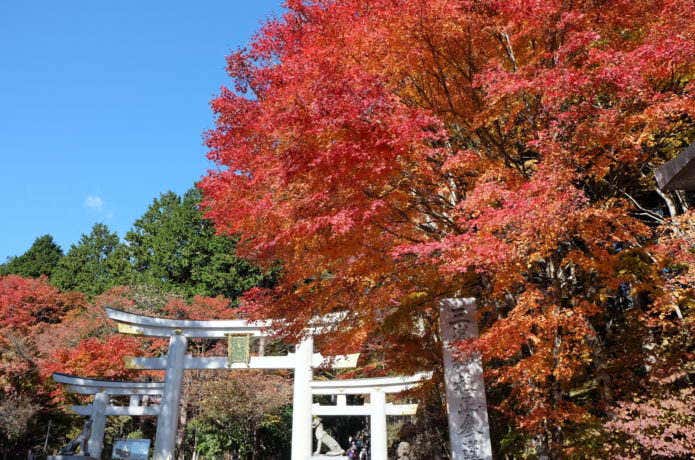 紅葉の三峯神社