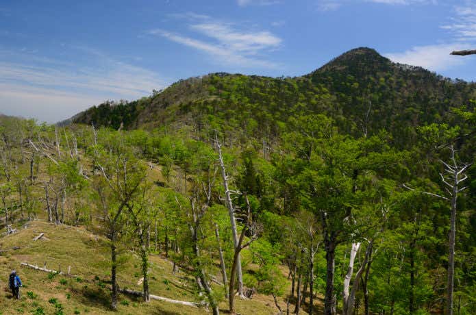登山道からの釈迦ヶ岳