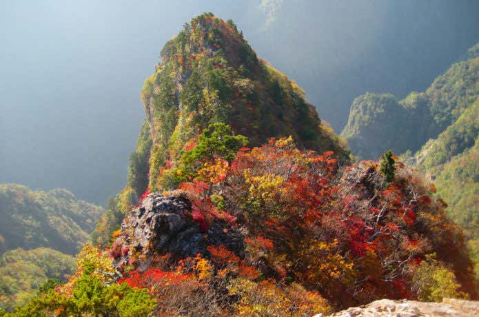 大台ヶ原山の大蛇嵓紅葉