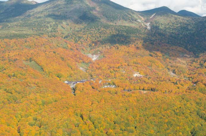 八甲田山 紅葉 酸ヶ湯温泉