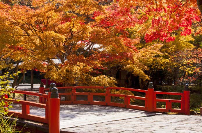 紅葉と赤い橋