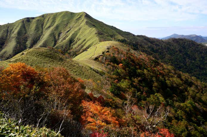 剣山の紅葉