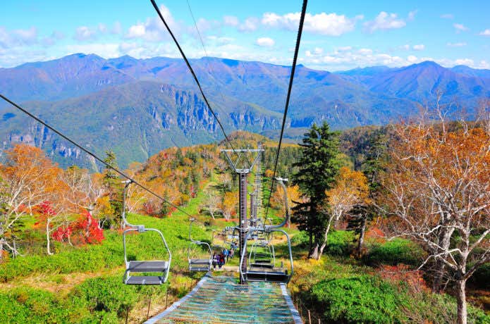 大雪山黒岳の紅葉