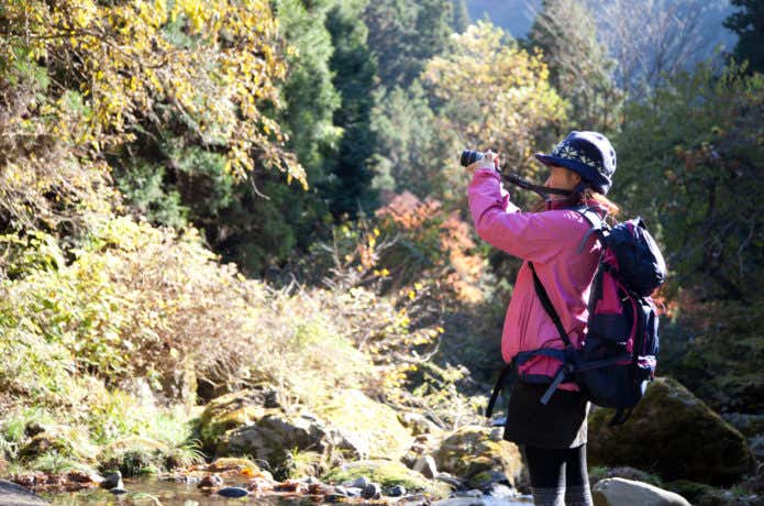 紅葉登山をする人