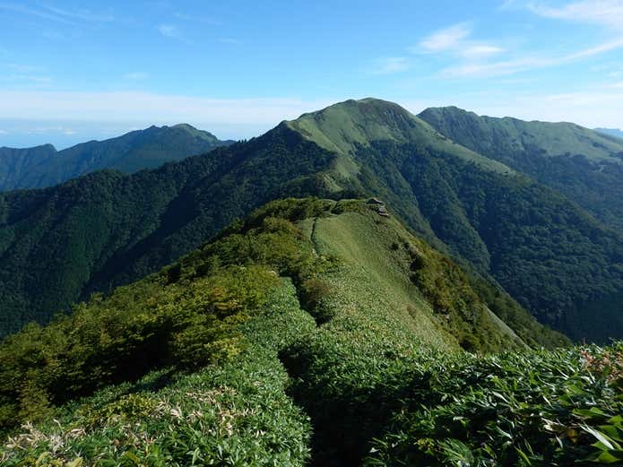 笹ヶ峰 稜線
