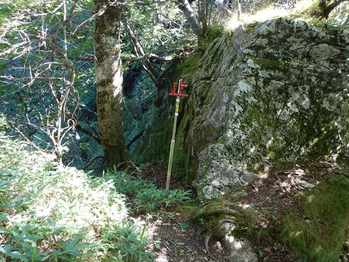笹ヶ峰 「止」標識