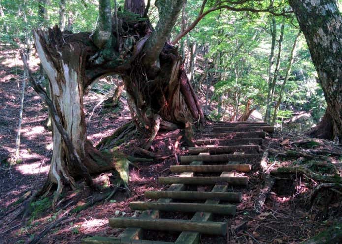 階段道