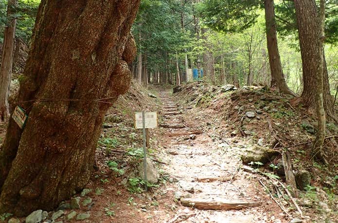 笊ヶ岳 二軒小屋 登山口