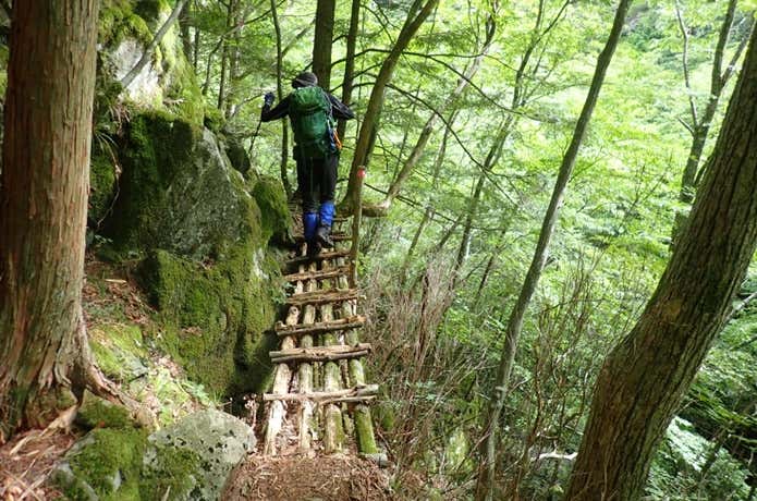登山道の木の橋