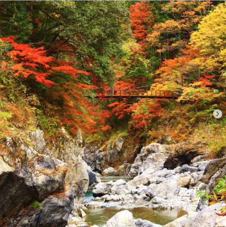鳩ノ巣渓谷 渓流と紅葉