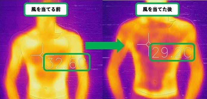 ドライナミックメッシュ