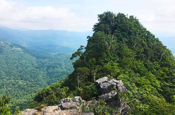 黄金山山頂