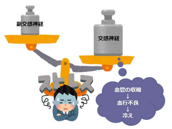 自律神経の乱れによる血行不良