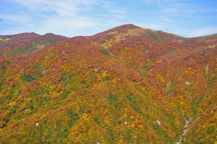 以東岳の紅葉