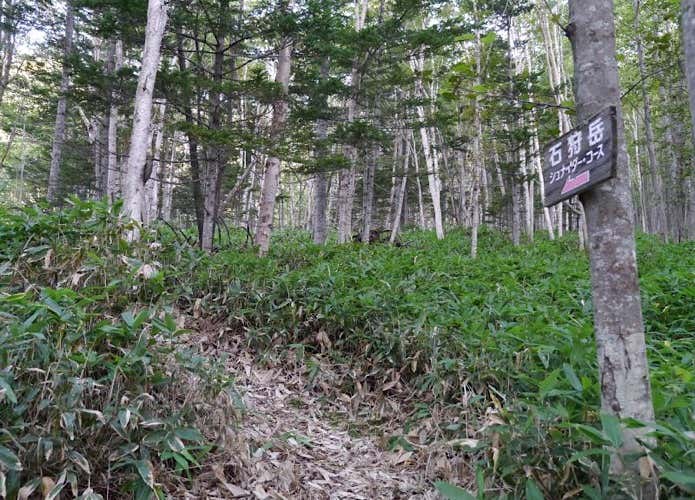 シュナイダーコース登山口