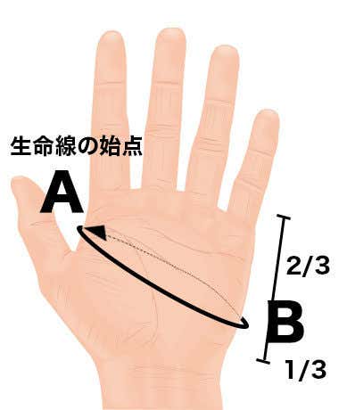 サイズ　測り方