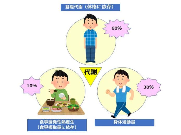 代謝