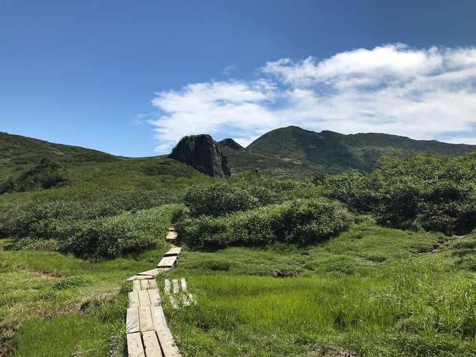 夕張岳　 湿原木道