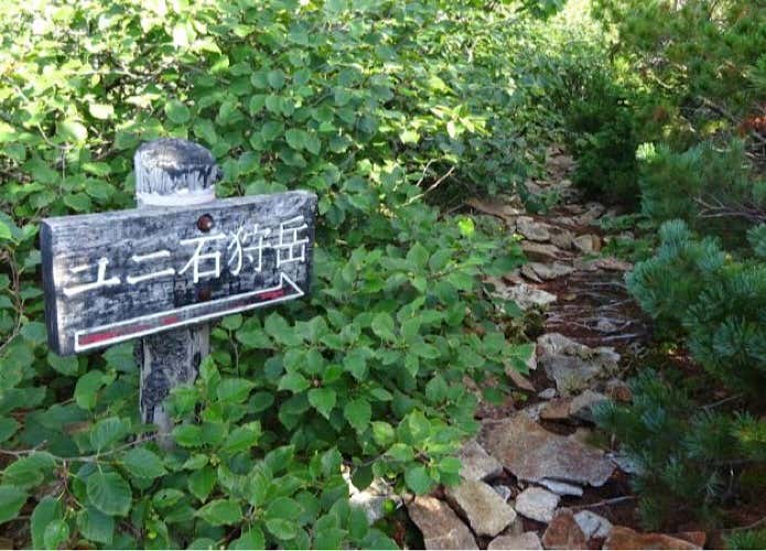 ユニ石狩岳への標識