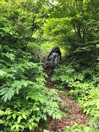 神室山の急登