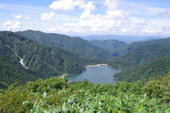 大鳥池