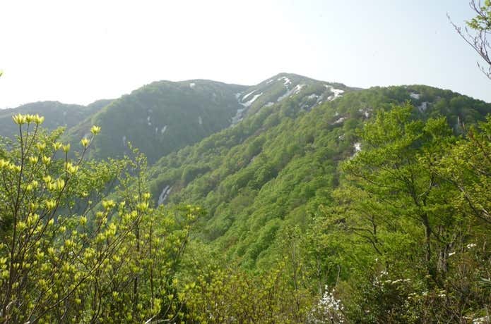 途中で見える金剛堂山