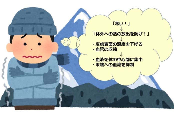 体温調整のしくみ