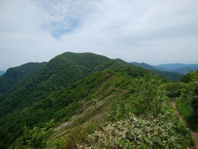 平標ノ家から大源太山へのコース中に見える稜線