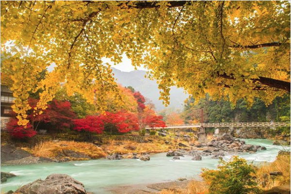 御岳渓谷 紅葉と川