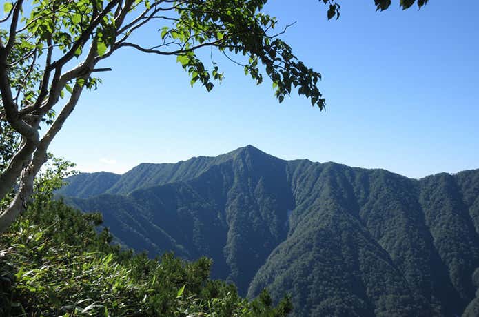登山道からの神威岳