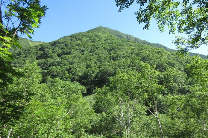 ペテガリ岳山頂までの最後の登り