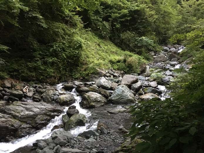 笊ヶ岳 広河原