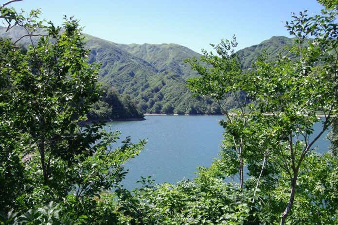 大鳥池