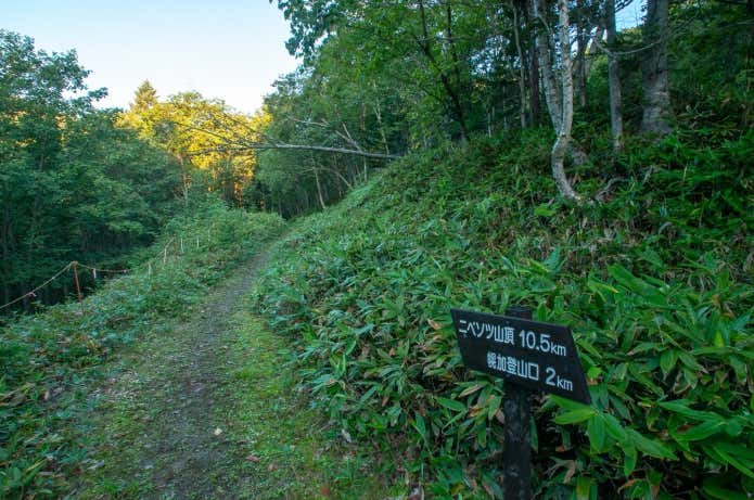 ニペソツ山登山道入口