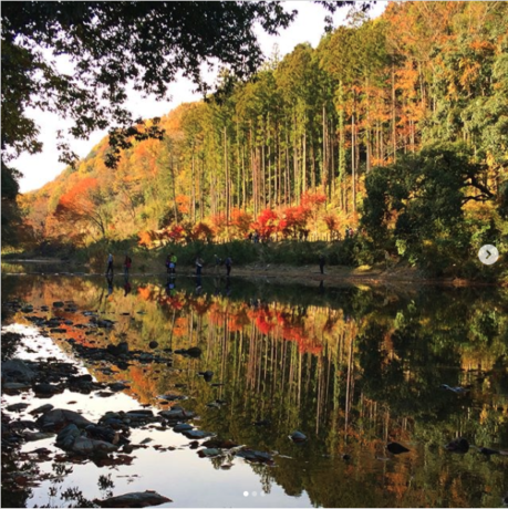 嵐山渓谷 渓流と紅葉