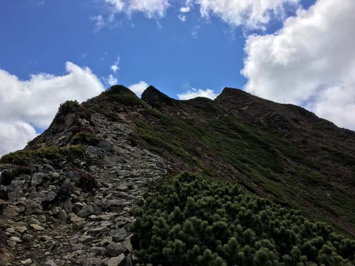 ニペソツ山 山頂への稜線