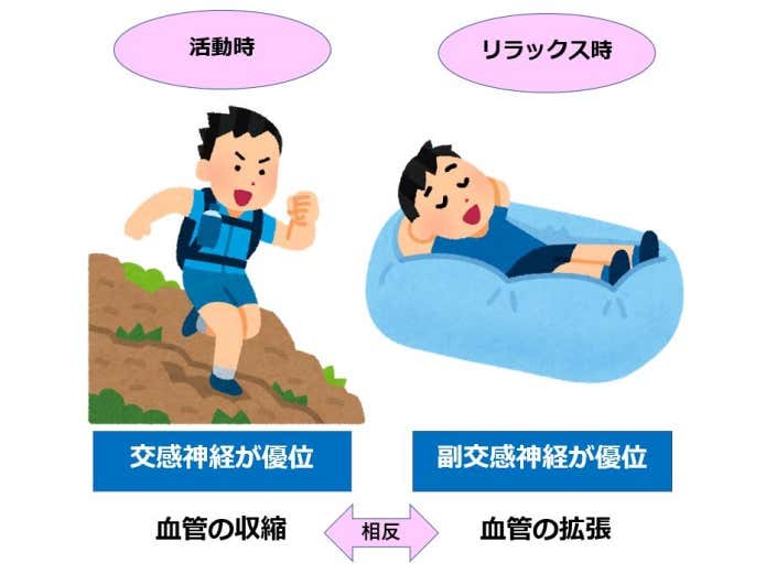 自律神経