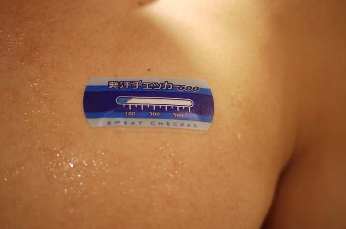 ドライナミックメッシュ