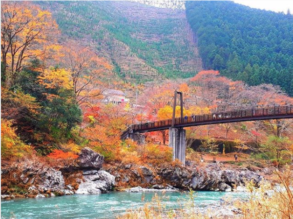 御岳渓谷 紅葉と山肌
