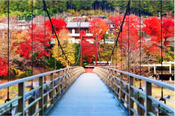 御岳渓谷 紅葉と橋