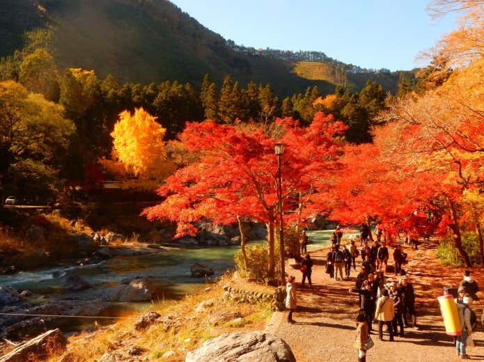 掛軸 広田超遊 渓谷之秋 木箱 紅葉 風景画 山水 掛軸 広田超遊 渓谷之秋 木箱 紅葉 風景画 山水