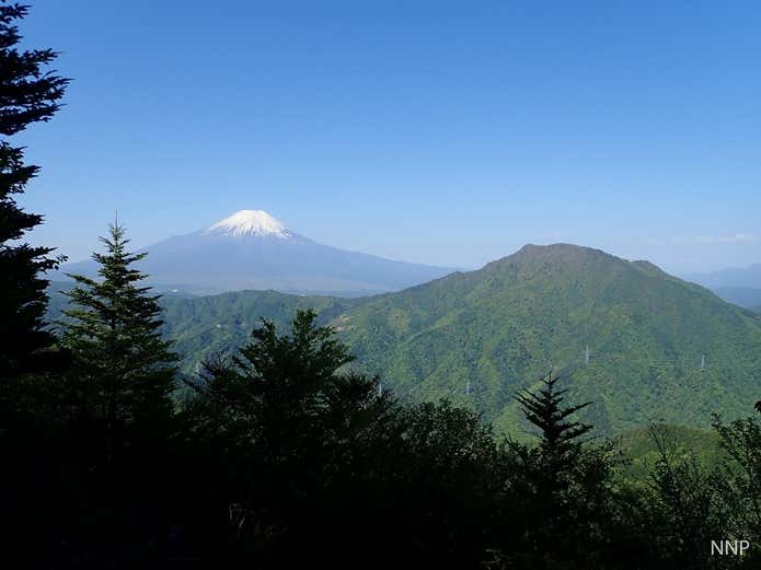 御正体山から望む富士山