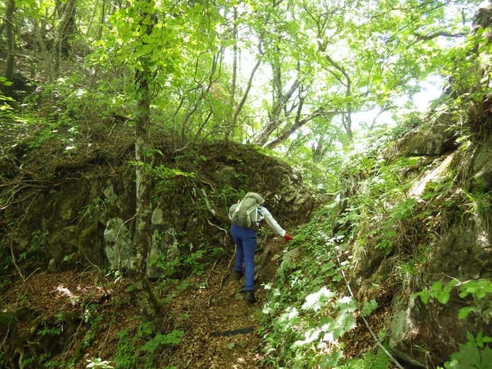 御正体山登山道