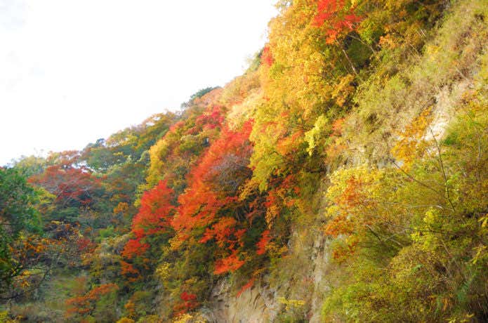 梅ヶ瀬渓谷の紅葉