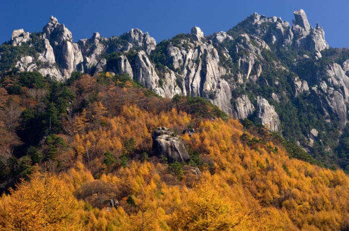 瑞牆山　紅葉情報