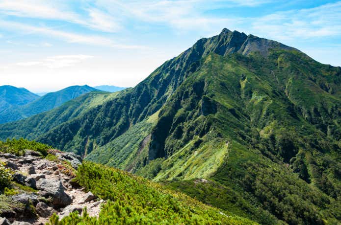 ニペソツ山 遠景