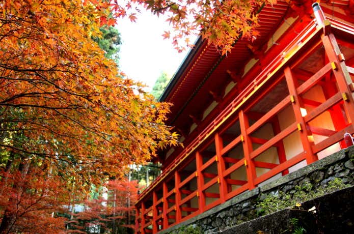 比叡山の紅葉