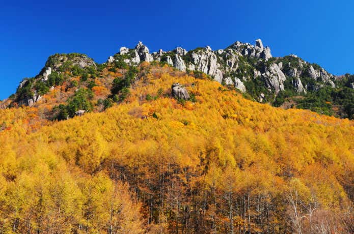 瑞牆山と紅葉
