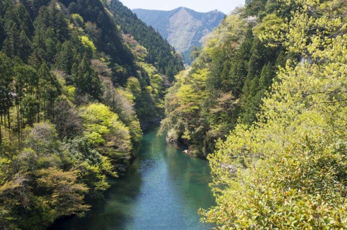 奥多摩　川